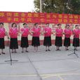 沙堆營村 沙堆營村