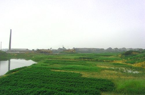 雞公壋遺址 雞公壋遺址