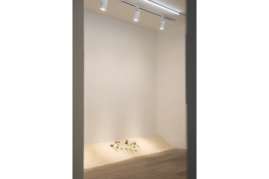 安慰(劉家冬裝置作品) 安慰(劉家冬裝置作品)