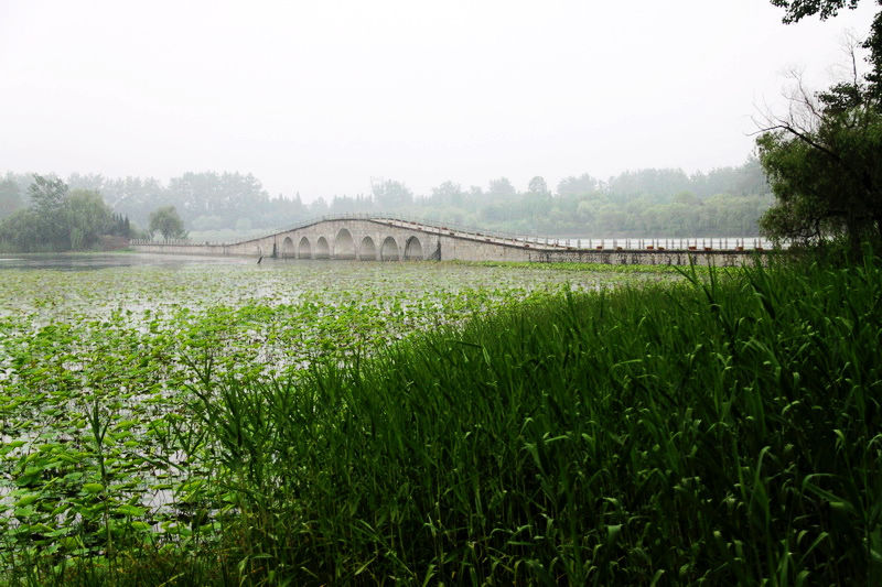 潁州西湖風景