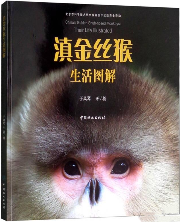 滇金絲猴生活圖解
