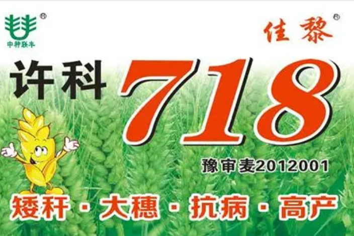 許科718 許科718