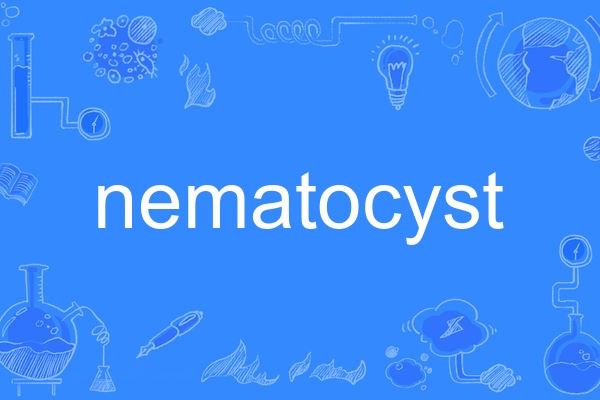 nematocyst nematocyst