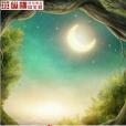 聖鷹崛起 聖鷹崛起
