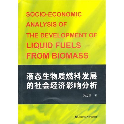液態生物質燃料發展的社會經濟影響分析