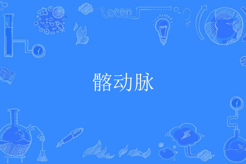 髂動脈 髂動脈