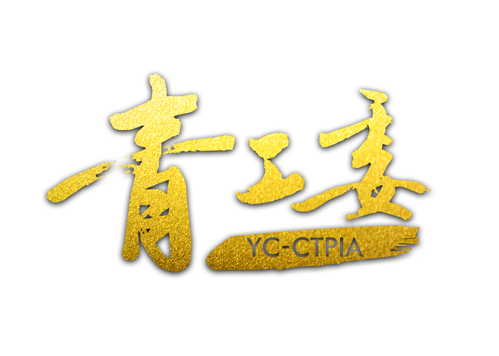 中國電視劇製作產業協會青年工作委員會