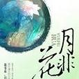 月非花 月非花