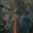 獸魂大陸 獸魂大陸