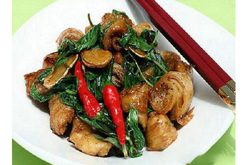 香菇八仙 香菇八仙
