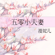 五零小夫妻 五零小夫妻