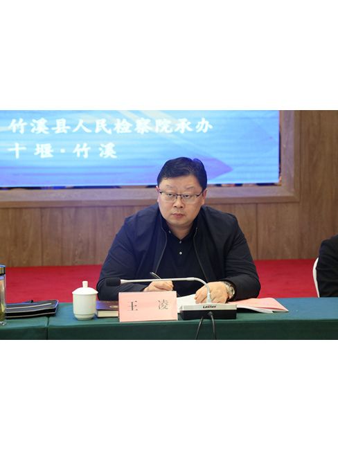 王凌(湖北省人民檢察院第五檢察部副主任) 王凌(湖北省人民檢察院第五檢察部副主任)