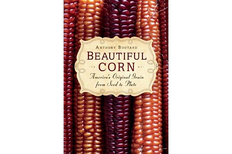 Beautiful Corn Beautiful Corn