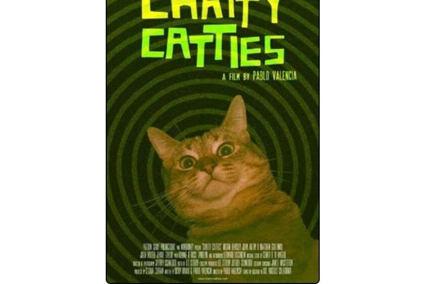 Chatty Catties Chatty Catties