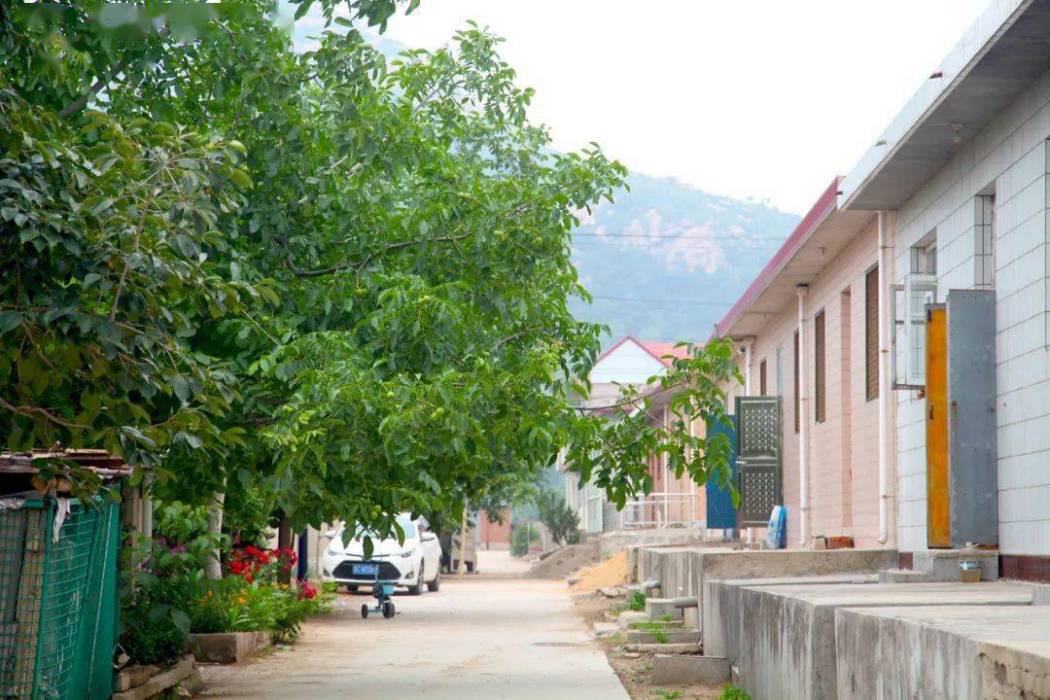 後營村(山東省菏澤市巨野縣營里鎮下轄村) 後營村(山東省菏澤市巨野縣營里鎮下轄村)
