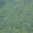 下河西村(雲南省劍川縣馬登鎮轄村) 下河西村(雲南省劍川縣馬登鎮轄村)
