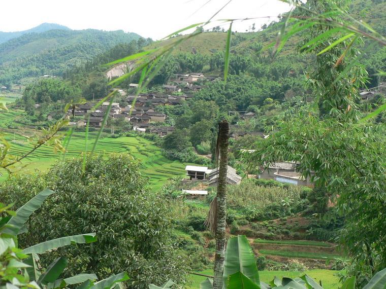 團箐村 團箐村