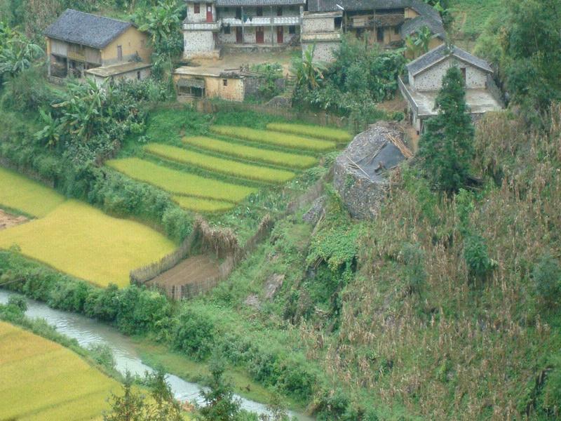 大塆村 大塆村