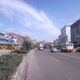 城子河區(城子河) 城子河區(城子河)