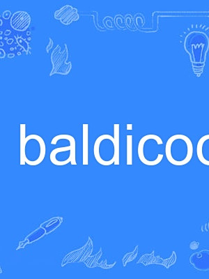 baldicoot baldicoot