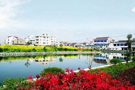 楊州村