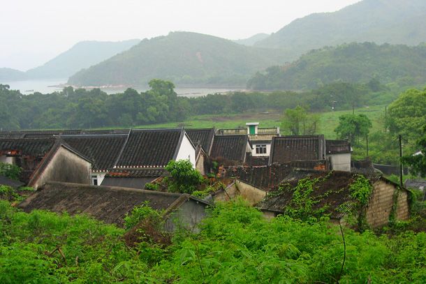 荔枝坑村 荔枝坑村