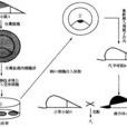 嵌合體