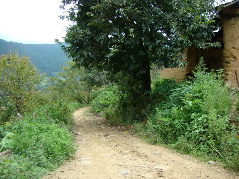 汪中村 汪中村