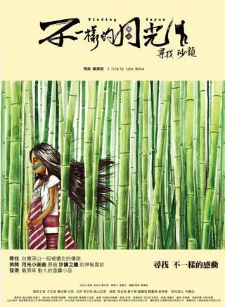 鄭鵬飛