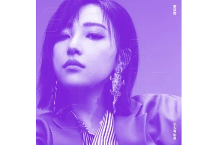 不出門(羅莎莎演唱的歌曲) 不出門(羅莎莎演唱的歌曲)