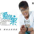 愛情果(龐龍演唱歌曲) 愛情果(龐龍演唱歌曲)