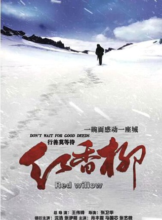 張洢萌 張洢萌