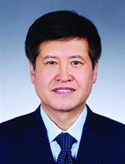 王海彥(遼寧石油化工大學教授)