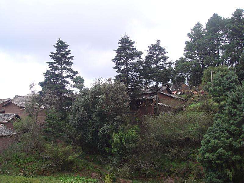 爛廠溝村 爛廠溝村