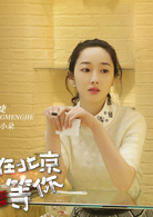 我在北京等你(在紐約（2018年李易峰、江疏影主演電視劇）)