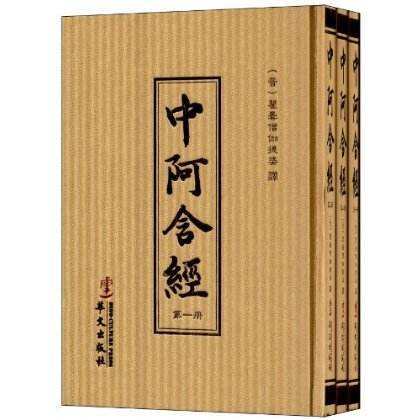 念身經 念身經