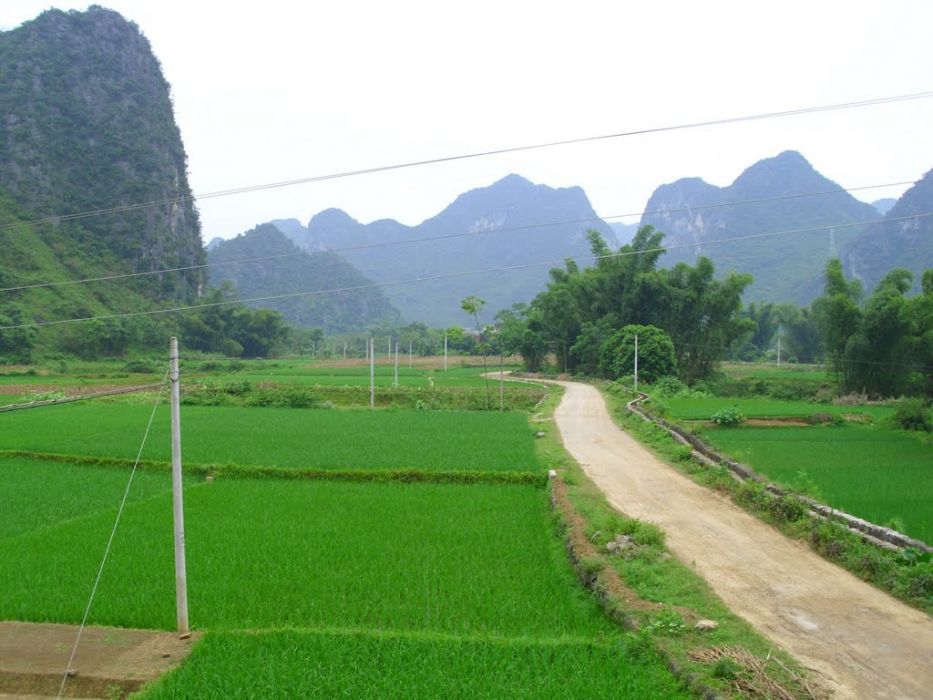 無邪村 無邪村