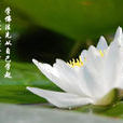 一法句 一法句