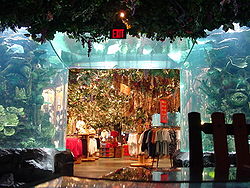位於迪士尼動物王國的熱帶雨林餐廳