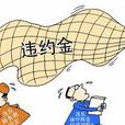違約責任