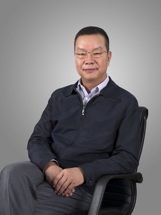 楊鐵軍(新疆廣匯實業投資(集團)有限責任公司董事、黨委副書記) 楊鐵軍(新疆廣匯實業投資(集團)有限責任公司董事、黨委副書記)