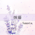 纏藤 纏藤