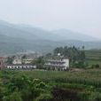東村(雲南五華區沙朗鄉下轄村) 東村(雲南五華區沙朗鄉下轄村)