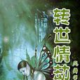 轉世情劫 轉世情劫