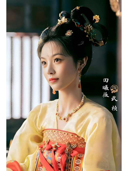 武禎(電視劇《子夜歸》中的角色) 武禎(電視劇《子夜歸》中的角色)