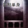 告別單身(小說) 告別單身(小說)