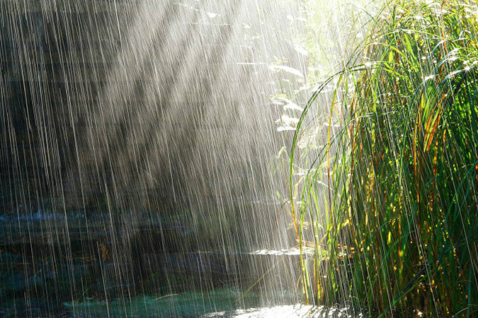 夏夜雨後 夏夜雨後