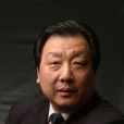 王宏(北京大成律師事務所律師/高級合伙人)