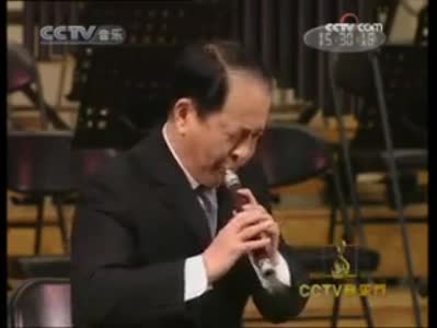 管子(中國民族吹管樂器之一)