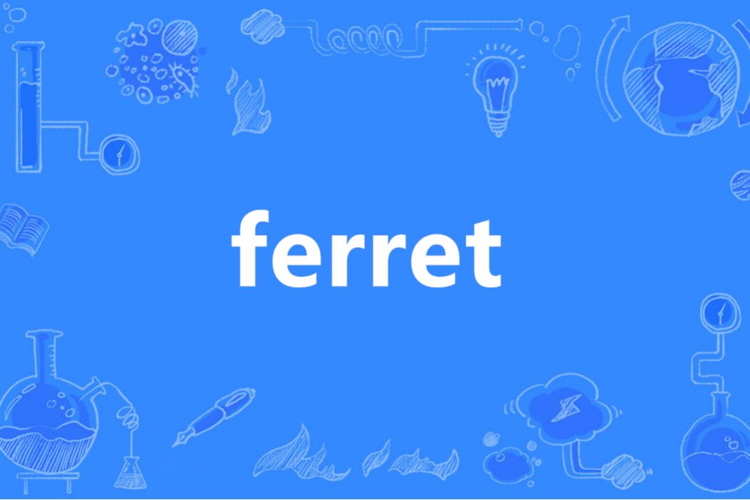 ferret(英語單詞)